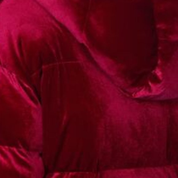 Hooded Velvet Puffer - Picture 6 of 6